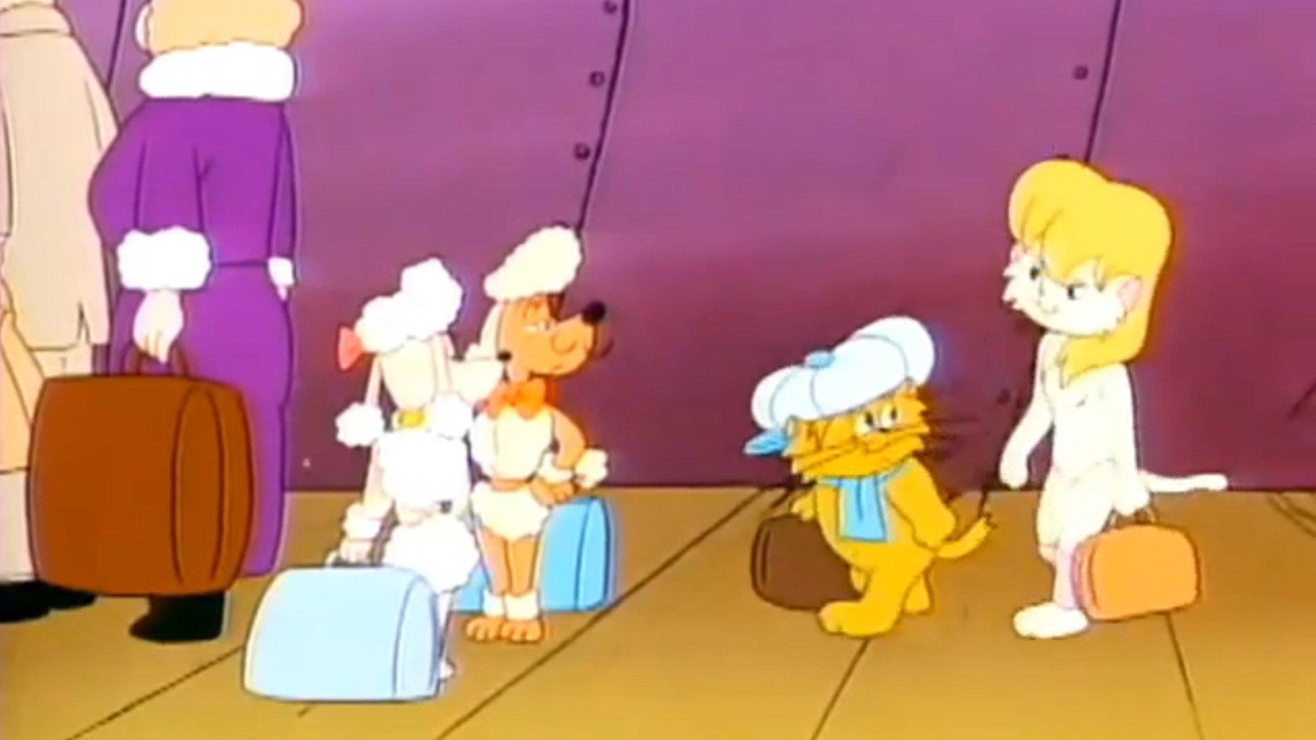Still from Cruisin' for a Bruisin'