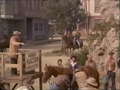 Still from Check Rein