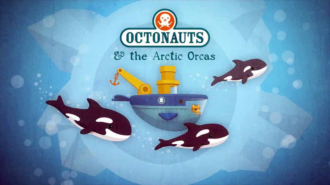 Still from The Arctic Orcas