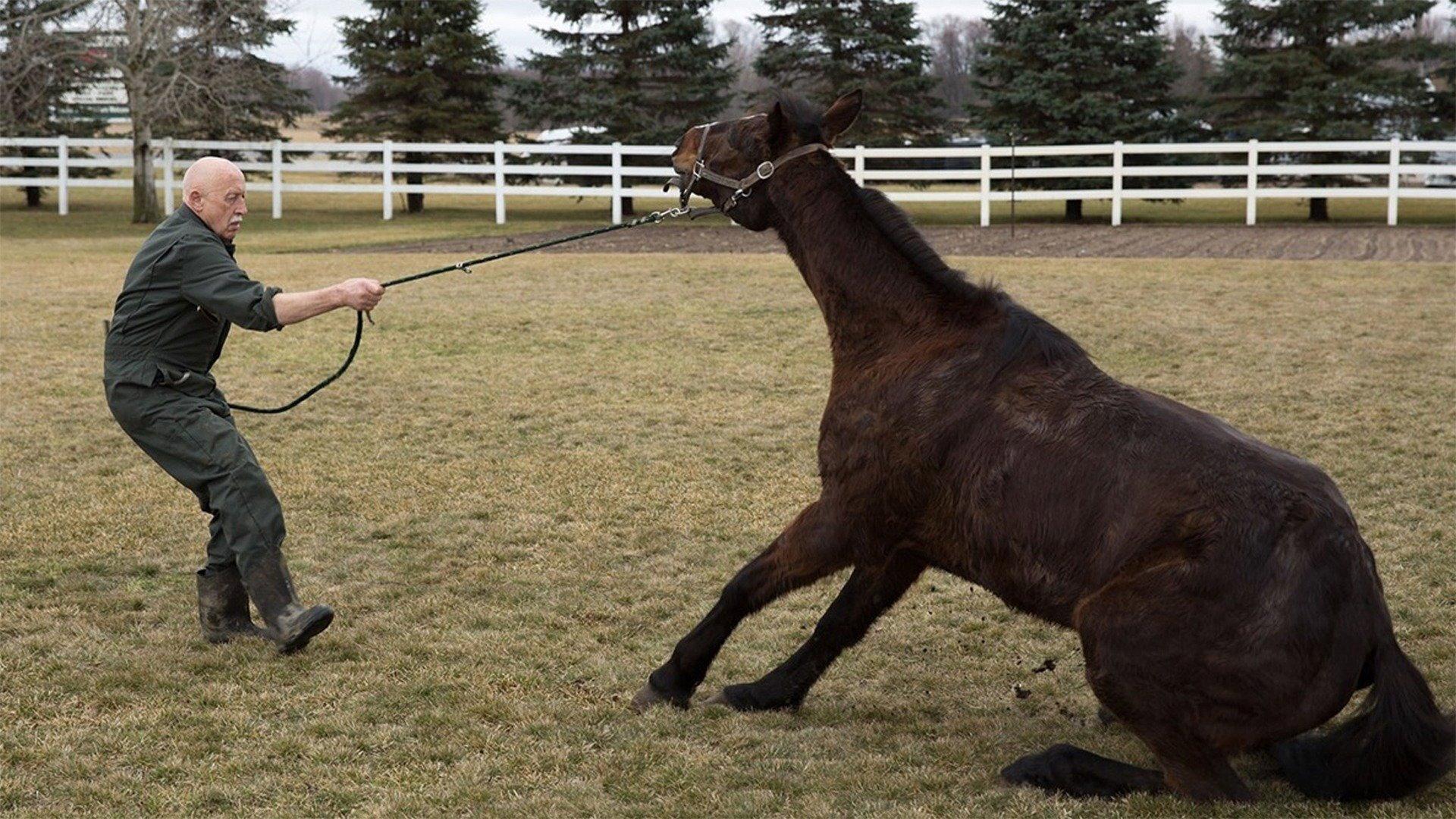 Still from What's Moo with Ewe?