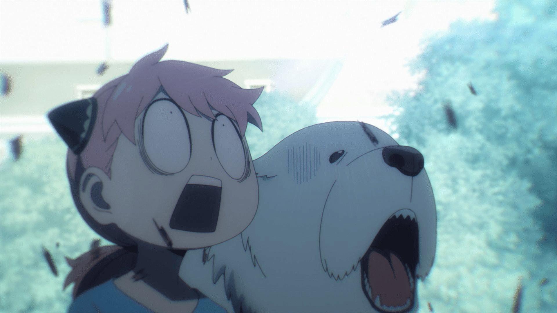 Still from THE UNWAVERING PATH