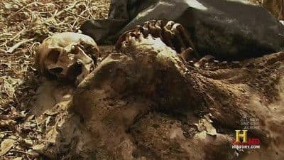 Still from Aliens and Evil Places