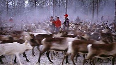 Still from On the Path of the Reindeer