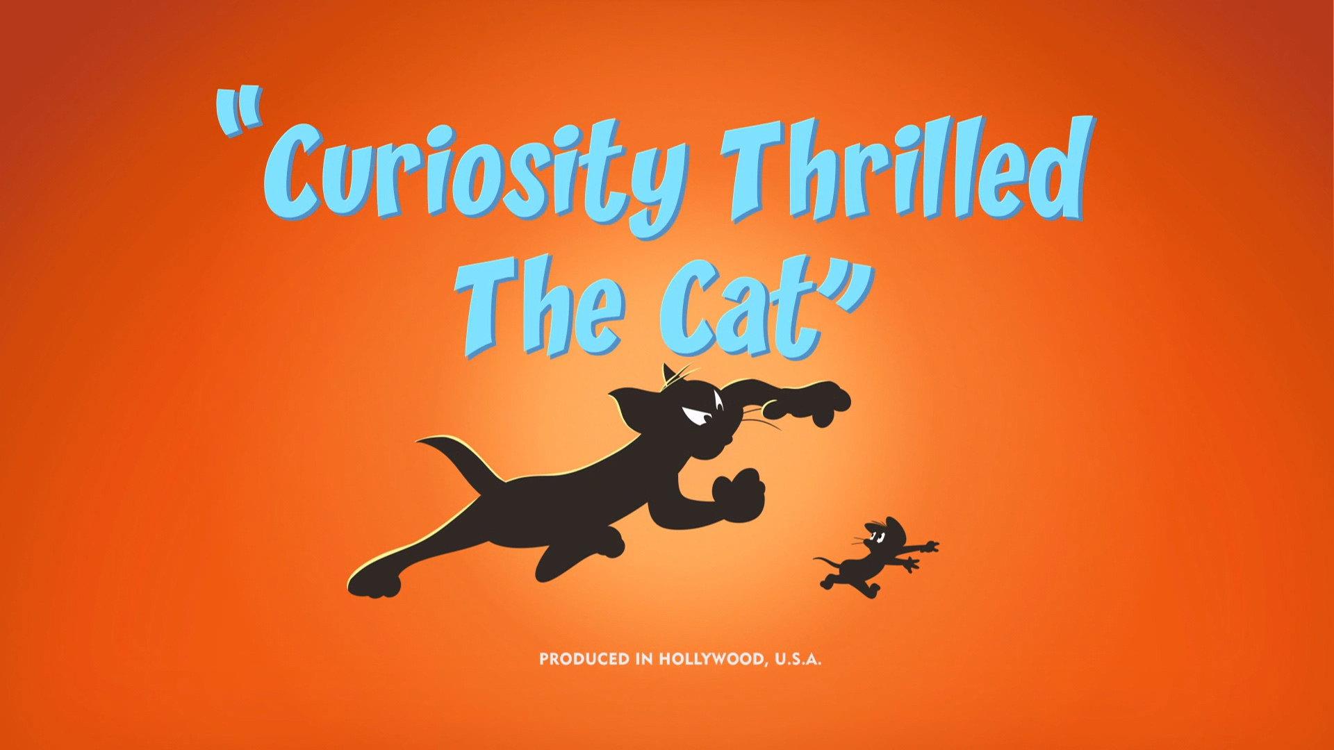Still from Curiosity Thrilled The Cat