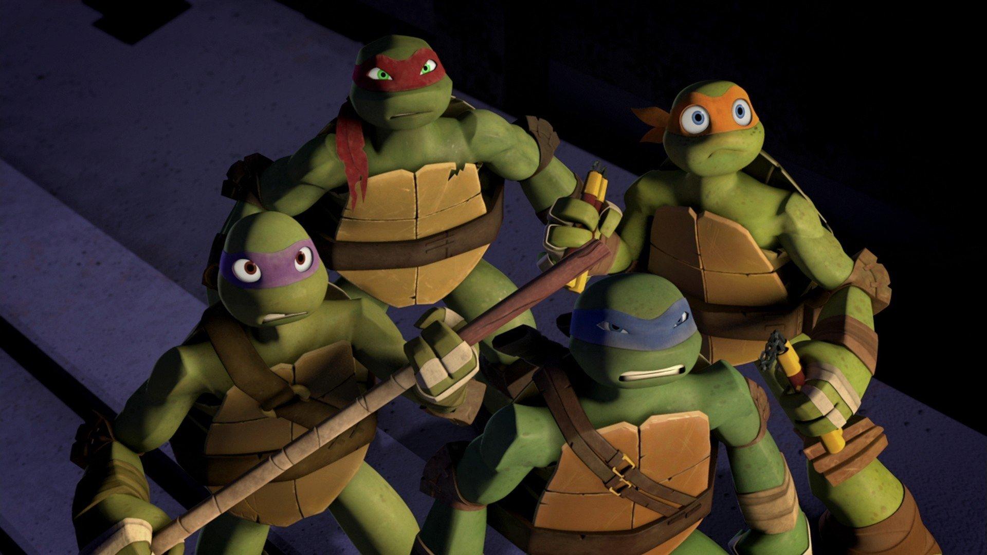Still from Rise of the Turtles (2)
