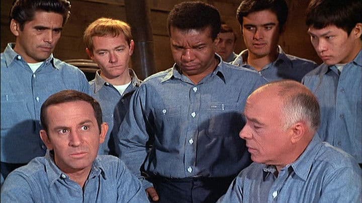 Still from The Not-So-Great Escape  (2)