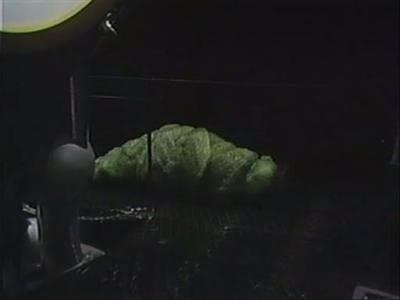 Still from The Ark in Space (2)
