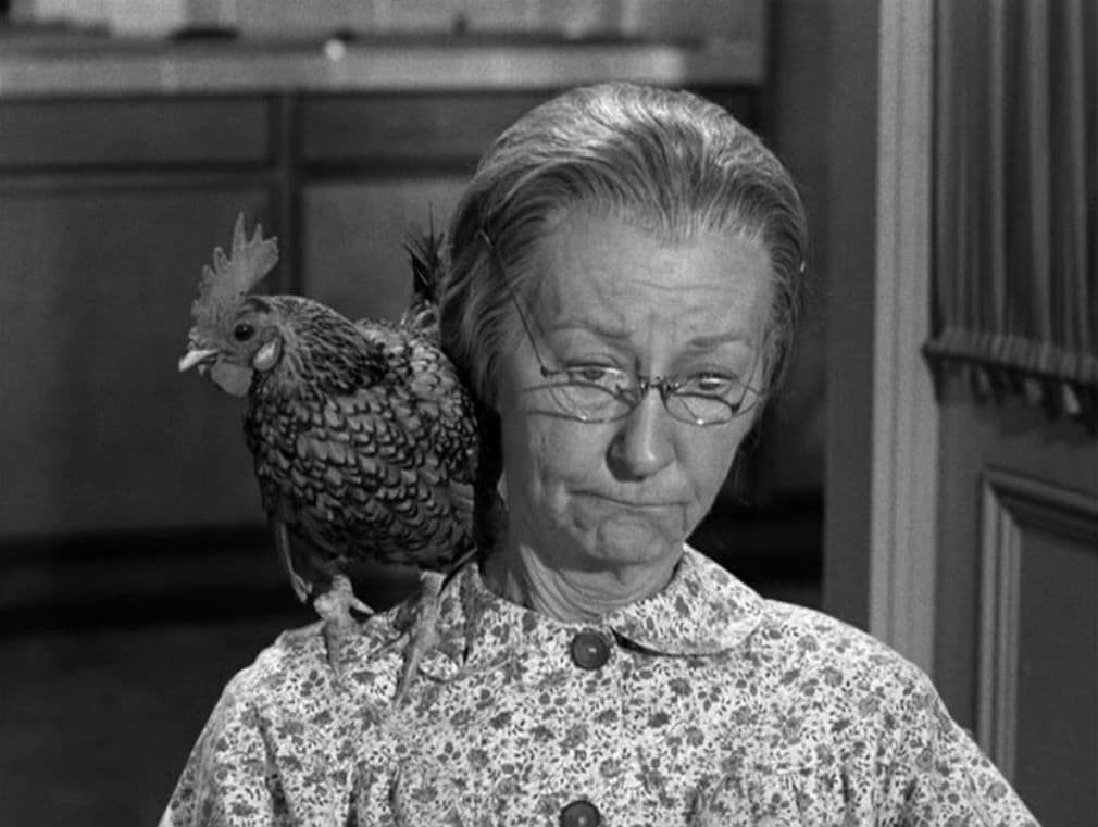 Still from The Clampetts Entertain