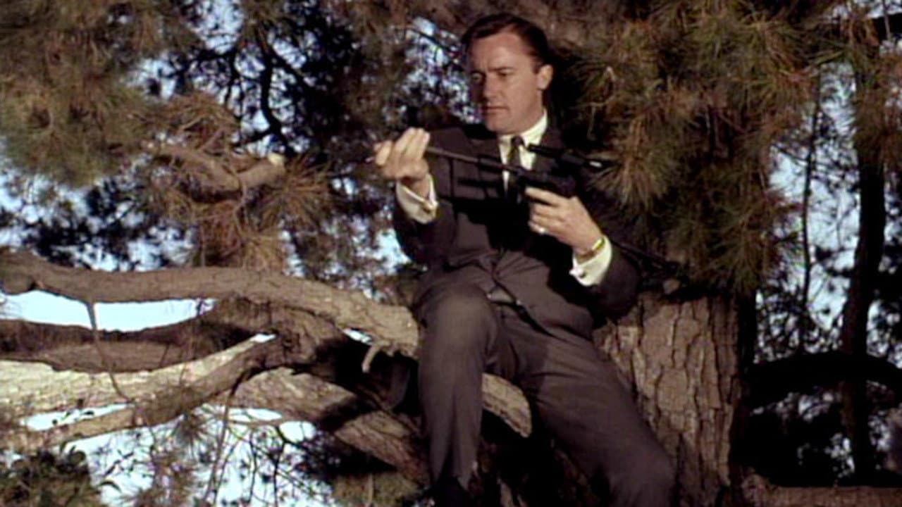 Still from The Indian Affairs Affair
