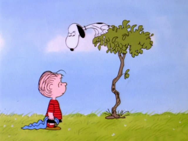 Still from It's That Team Spirit, Charlie Brown