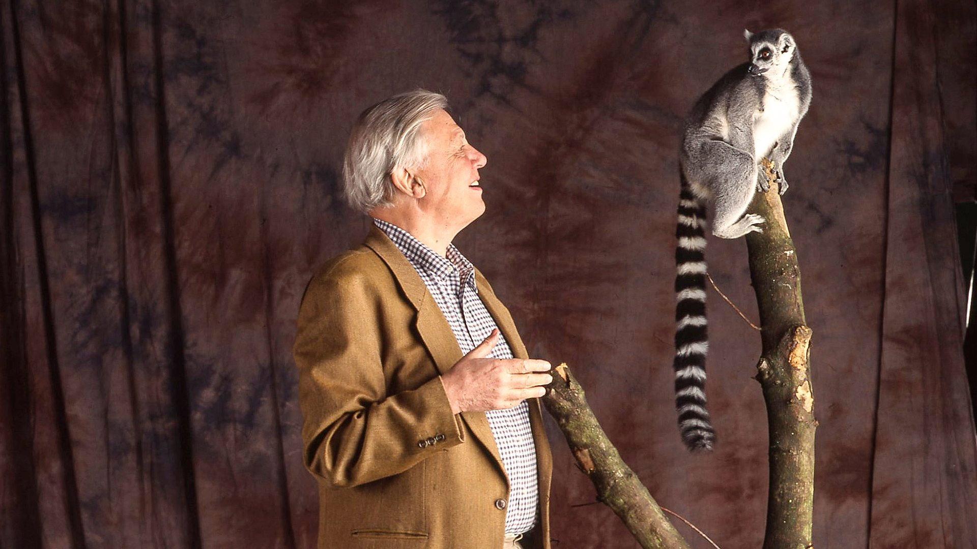 Still from Plant Predators