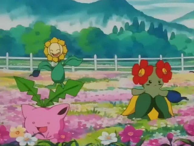 Still from The Grass Route