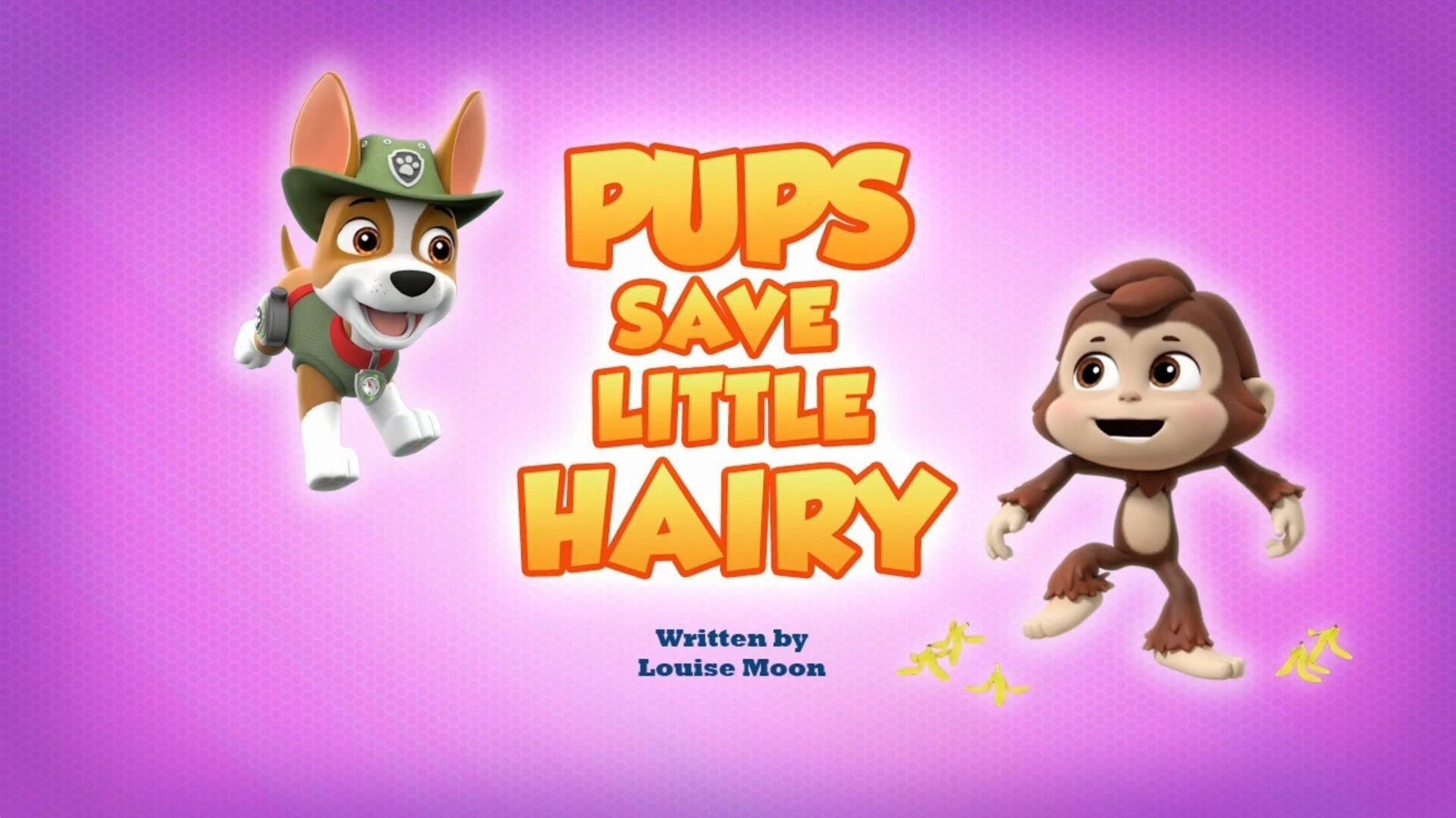 Still from Pups Save Little Hairy