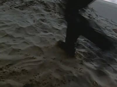 Still from Beauty and the Beach