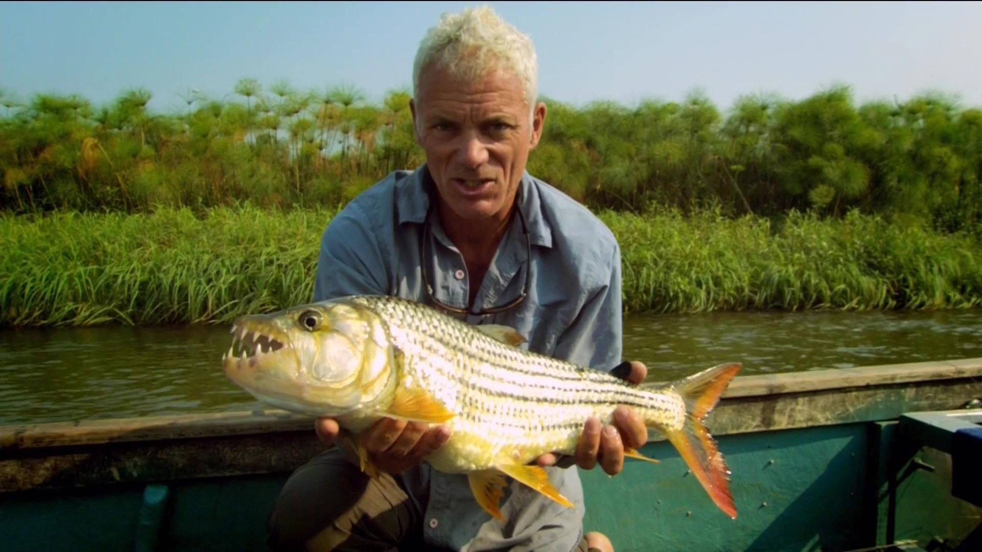 Still from Pack of Teeth