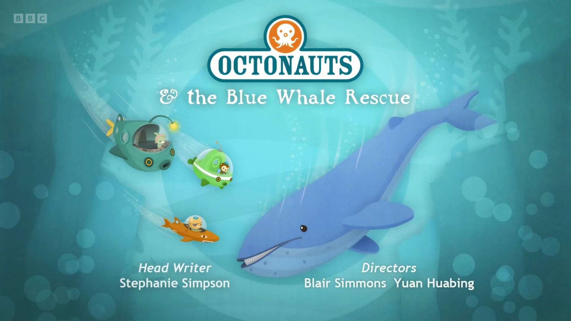 Still from Blue Whale Rescue