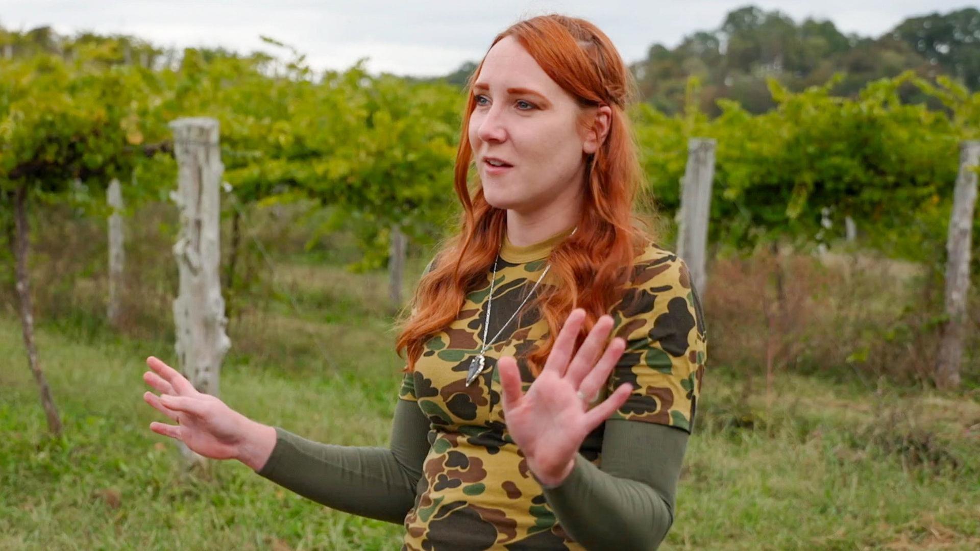 Still from The Grapes of Grappa