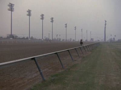 Still from A Killing at the Track
