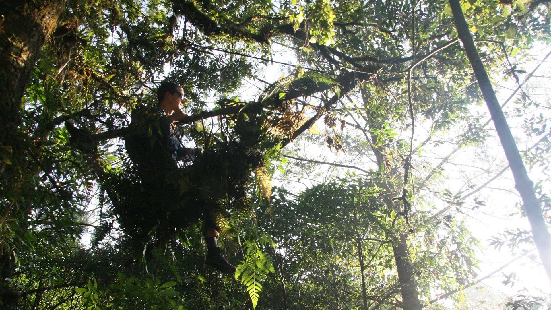 Still from Guatemala