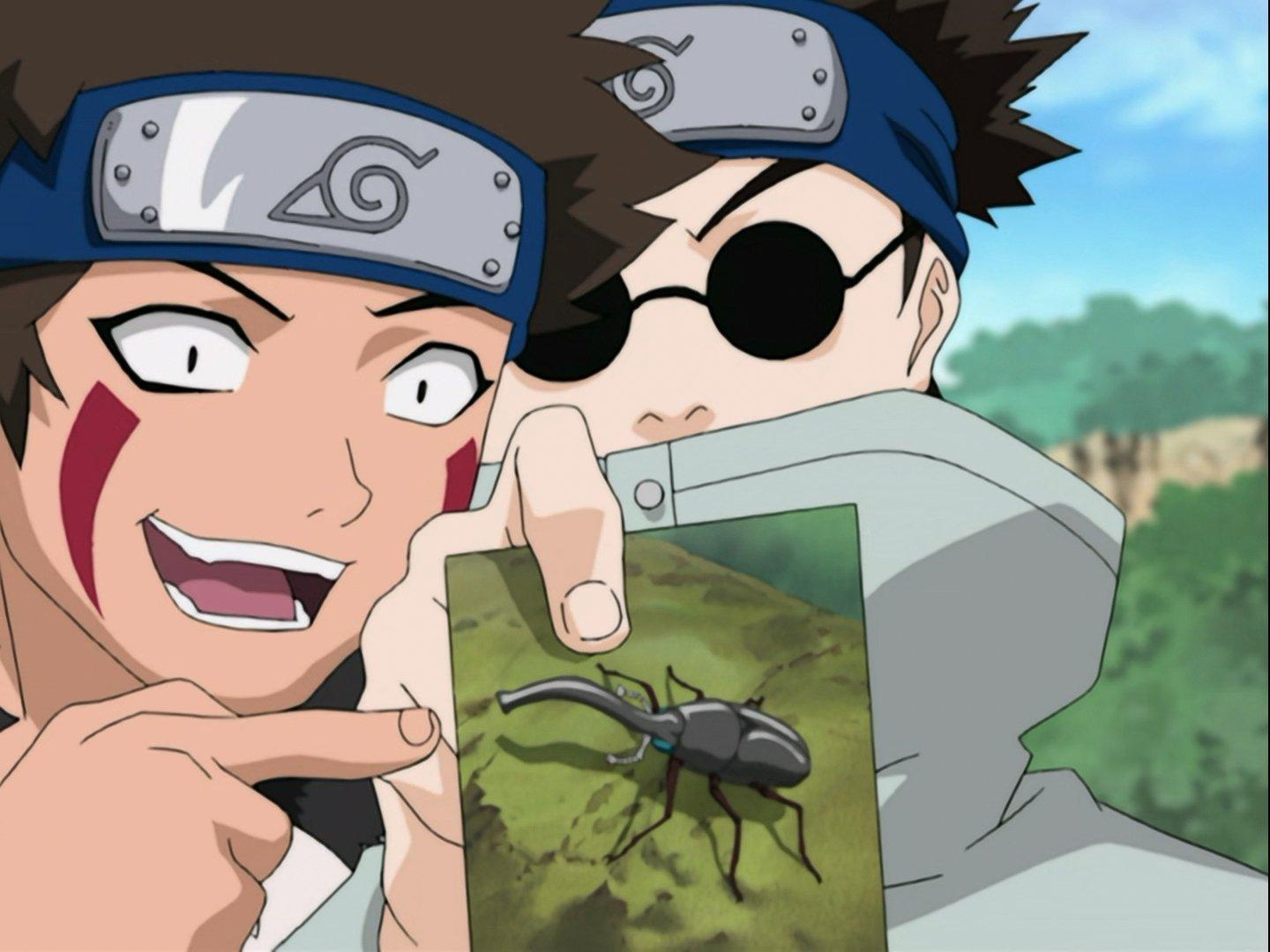 Still from What's the Difference? Don't All Insects Look Alike?