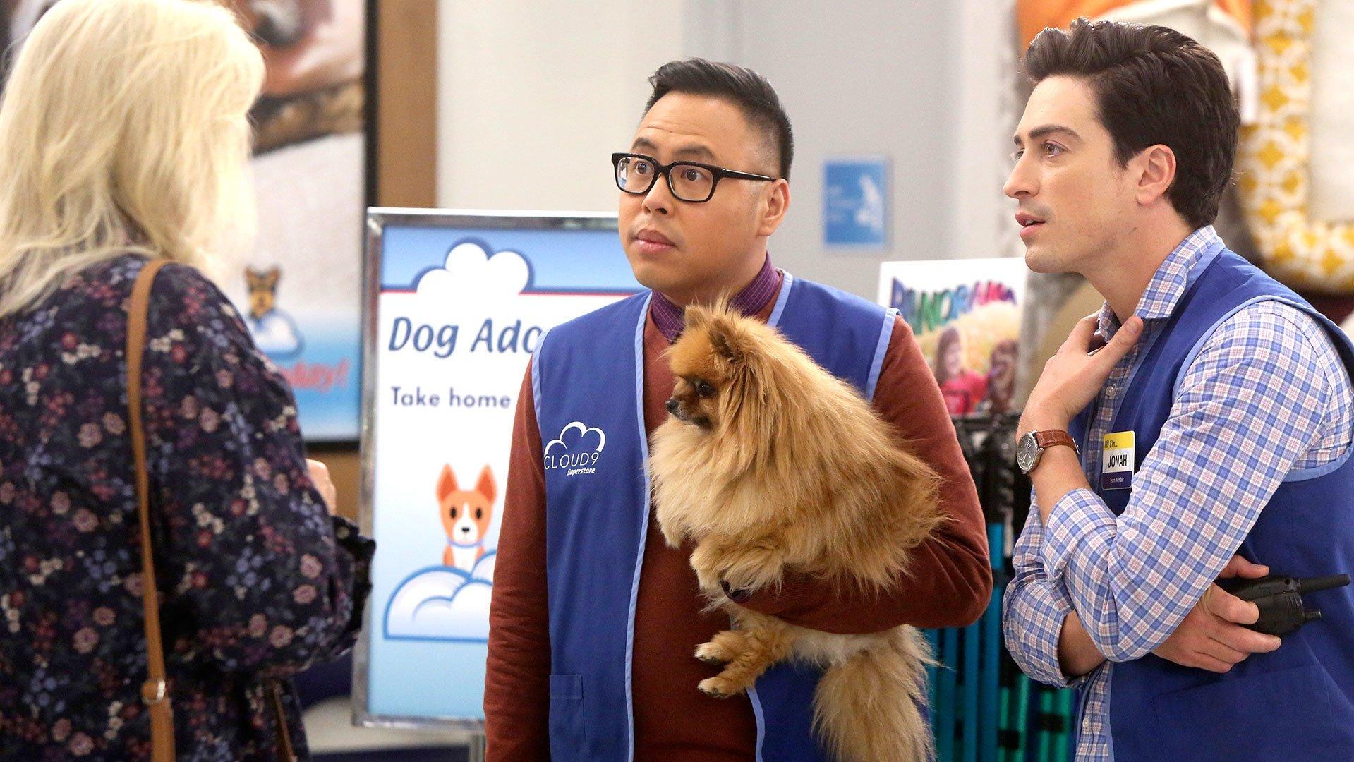 Still from Dog Adoption Day