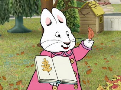 Still from Ruby's Leaf Collection