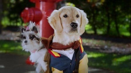Still from Oopsie!