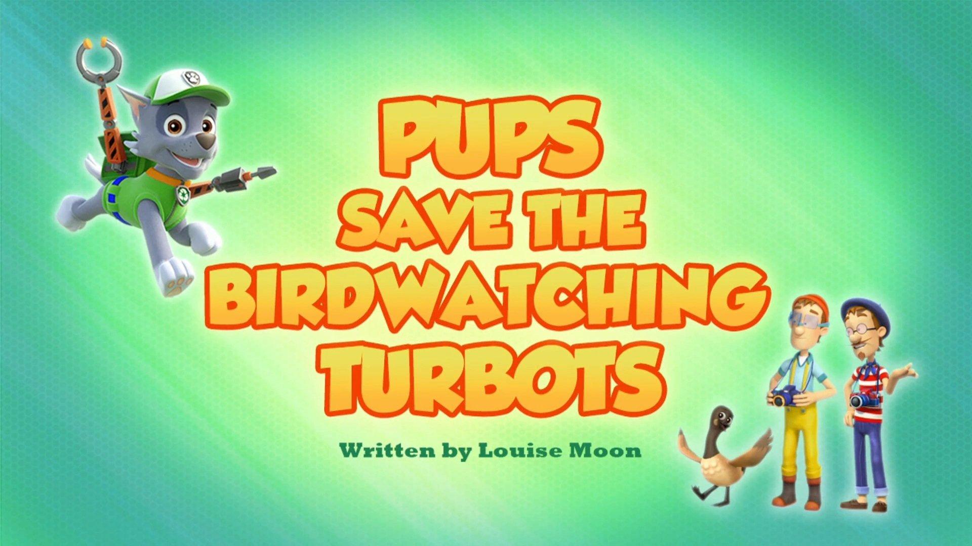 Still from Pups Save the Birdwatching Turbots