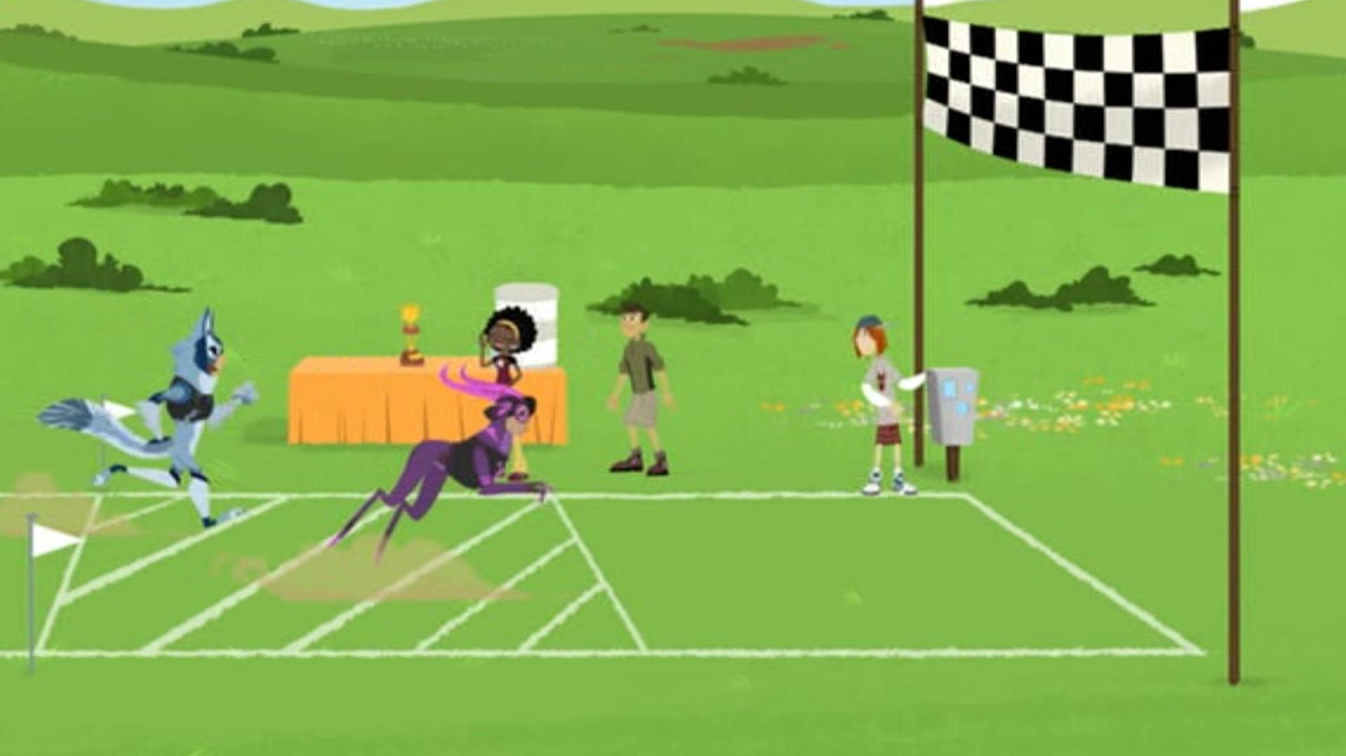 Still from The Amazing Creature Race