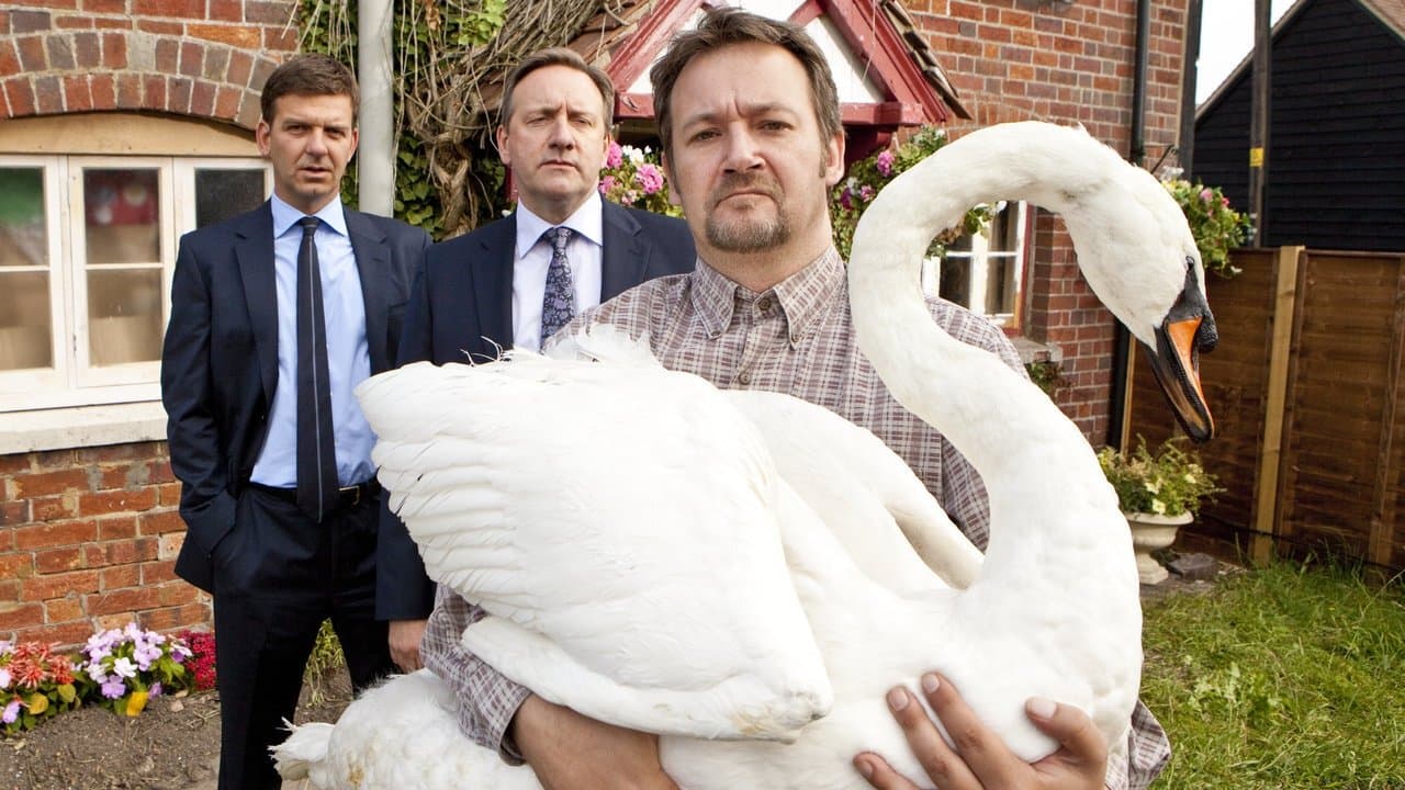 Still from A Rare Bird