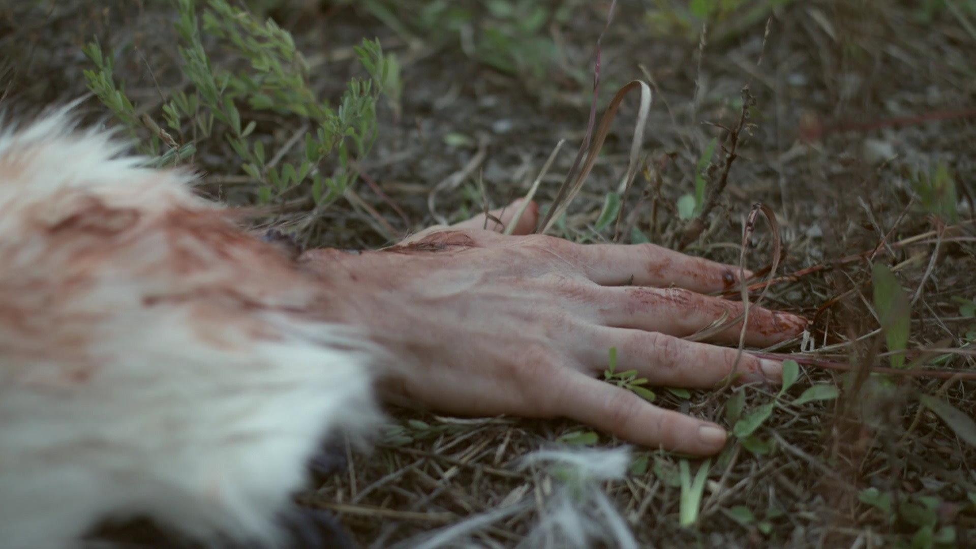 Still from Gun Instinct