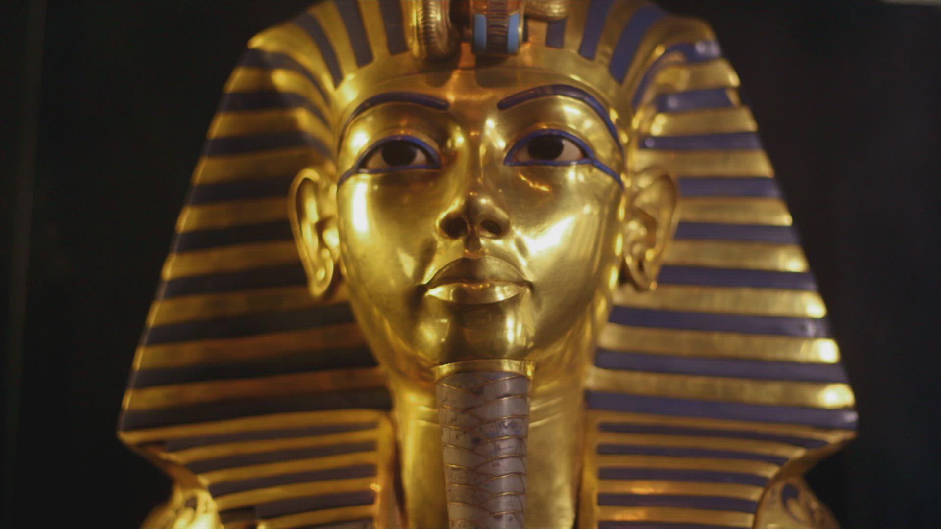 Still from Who Killed King Tut?