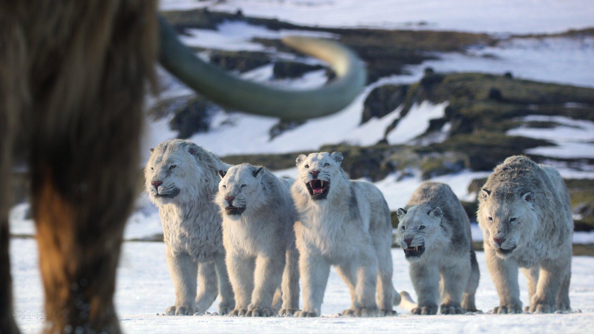 Still from Chapter 8: Age of Ice and Fire