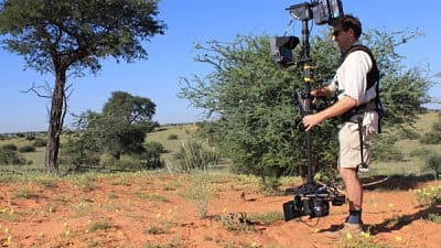Still from Wildlife Film Making