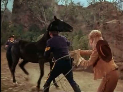 Still from A Horse of Another Color