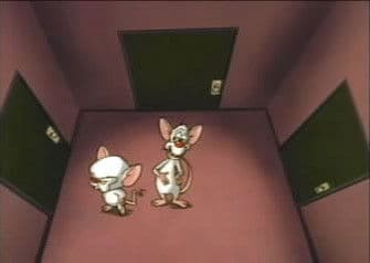 Still from The Maze