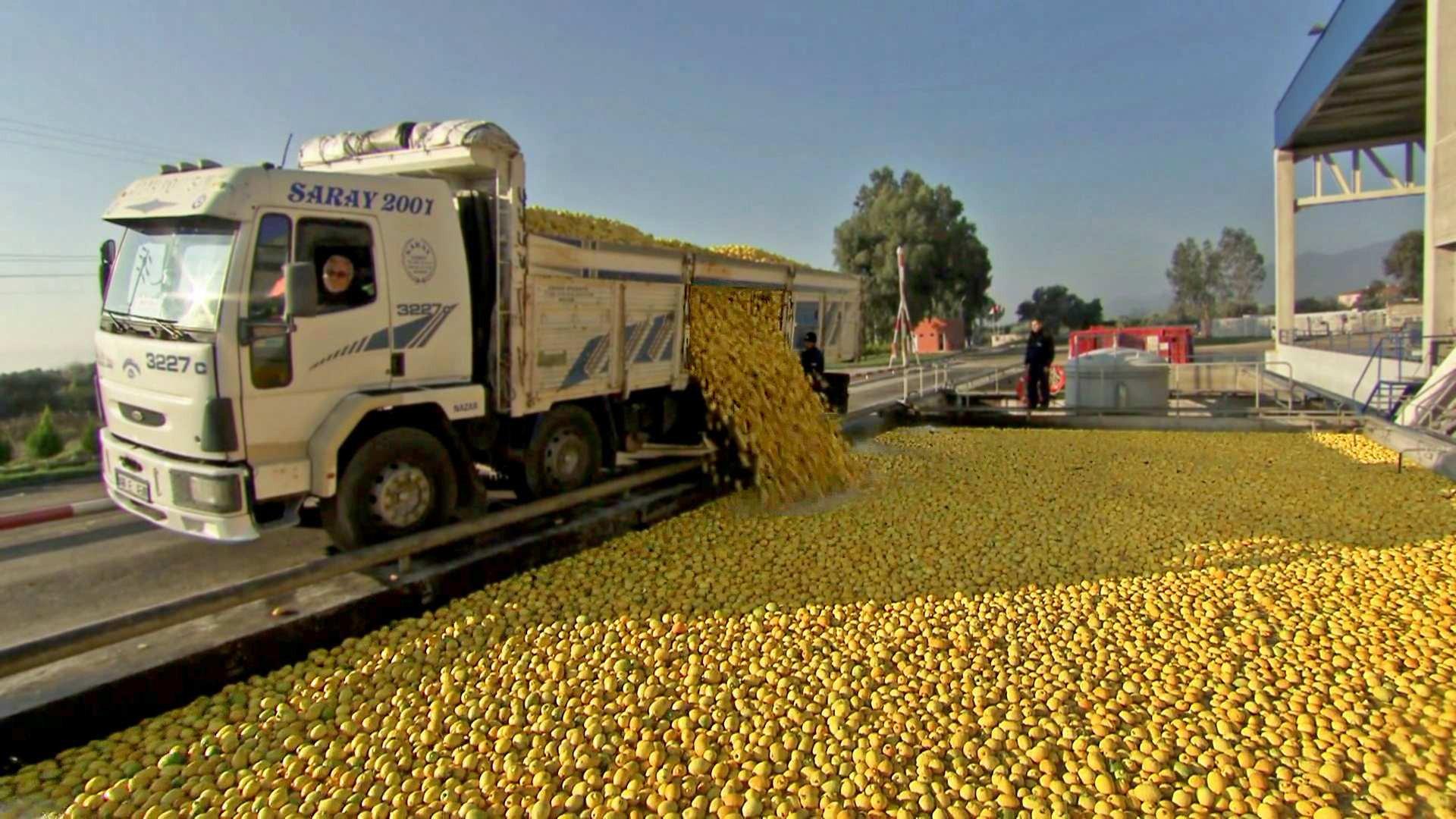 Still from Longboards, Lemonade, Forklifts