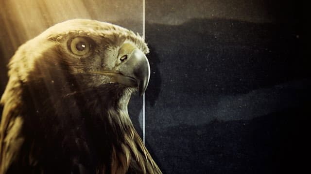 Still from Super Powered Eagles