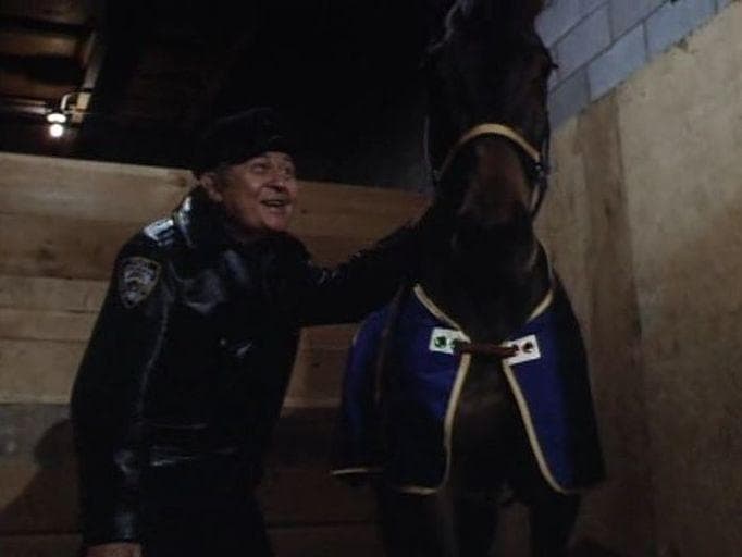 Still from May the Horse Be with You