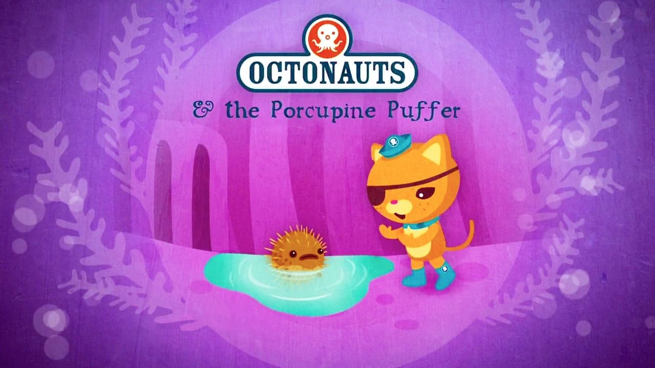 Still from The Porcupine Puffer