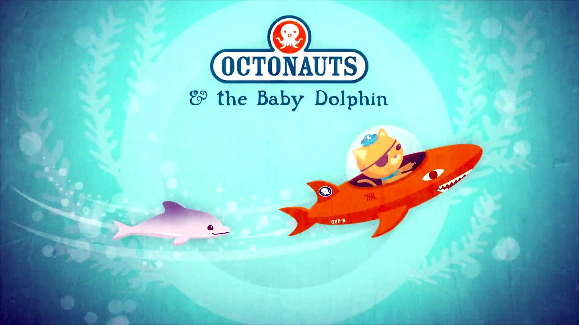Still from The Baby Dolphin