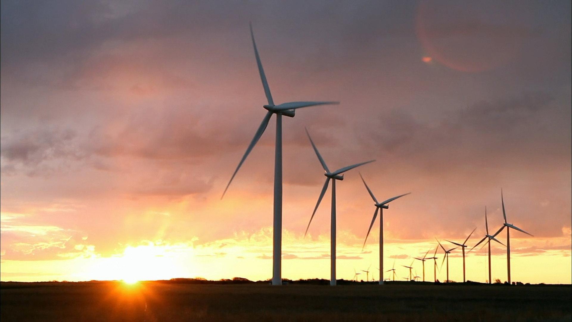 Still from Indy Steering Wheels, Mixed Salad, Wind Turbines