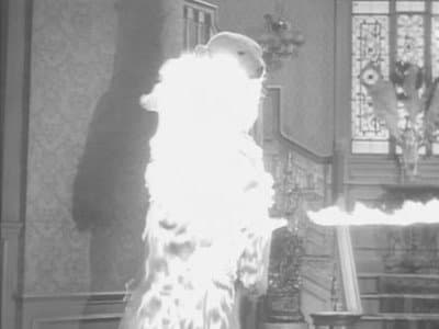 Still from The Addams Policy