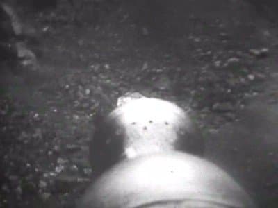 Still from The Krotons (3)