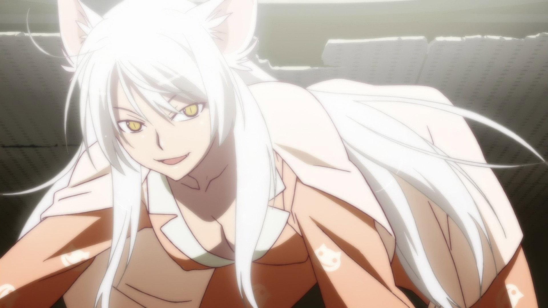 Still from Tsubasa Cat (3)