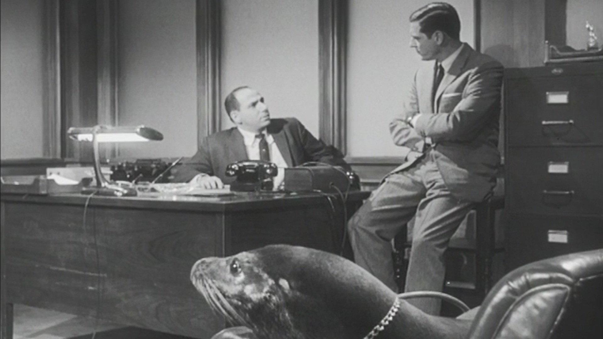 Still from Let's Kill Timothy