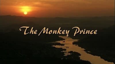 Still from The Monkey Prince