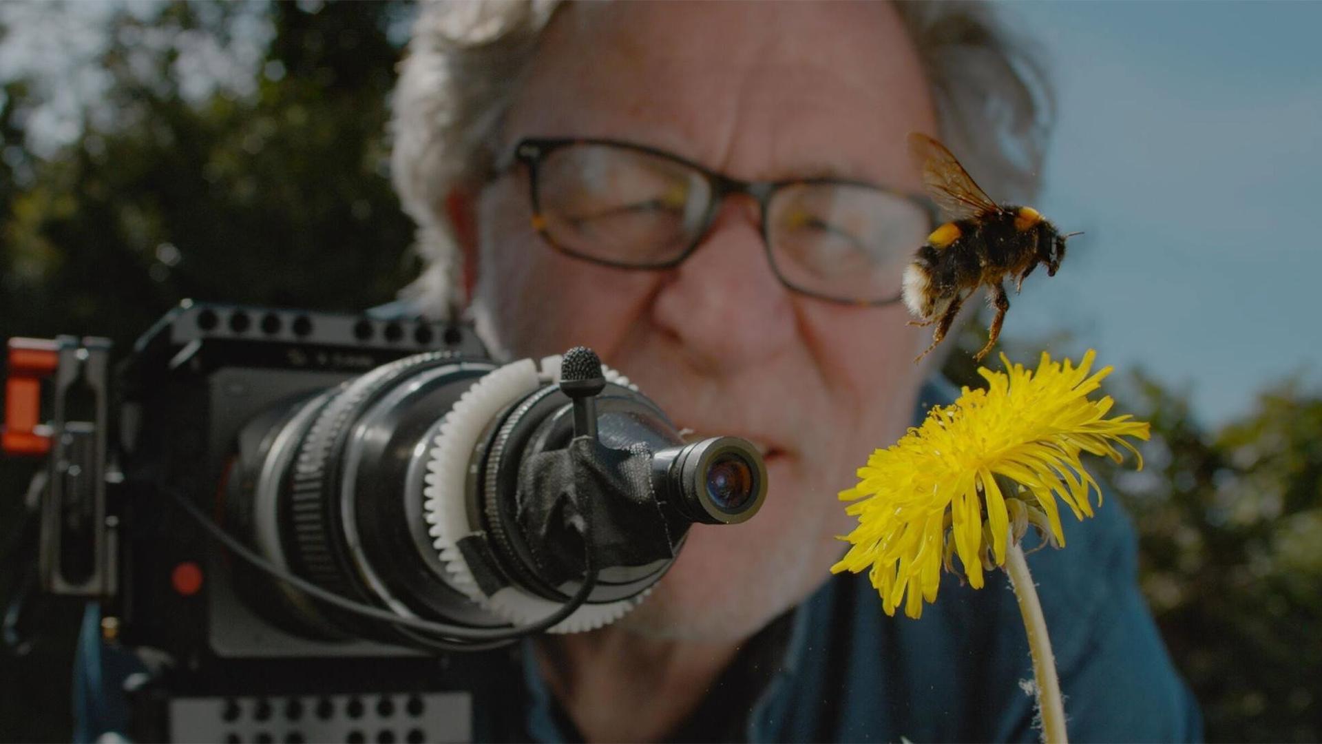 Still from My Garden of a Thousand Bees