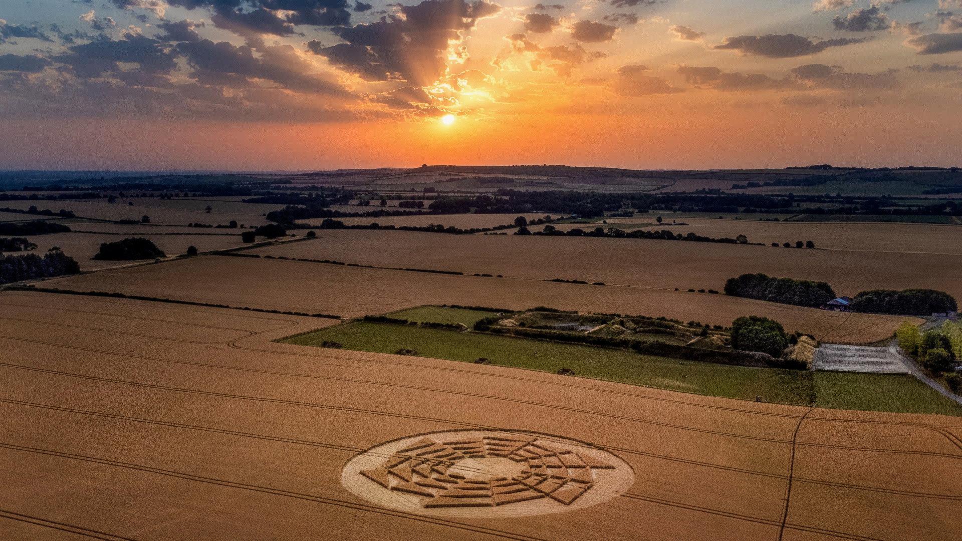 Still from The Crop Circle Code