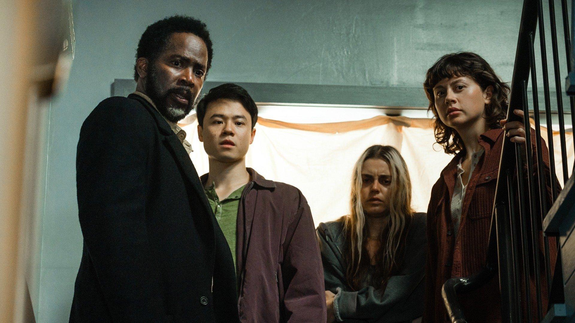 Still from Forest for the Trees